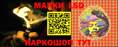 мдпв Новодвинск