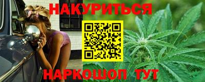 тгк Новозыбков