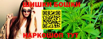 тгк Новозыбков