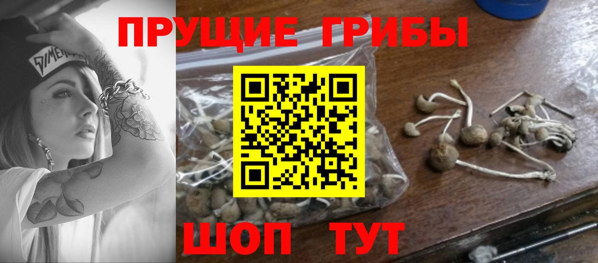 Серпухов  где купить наркоту  Вход с VPN  Галлюциногенные грибы Magic Shrooms 