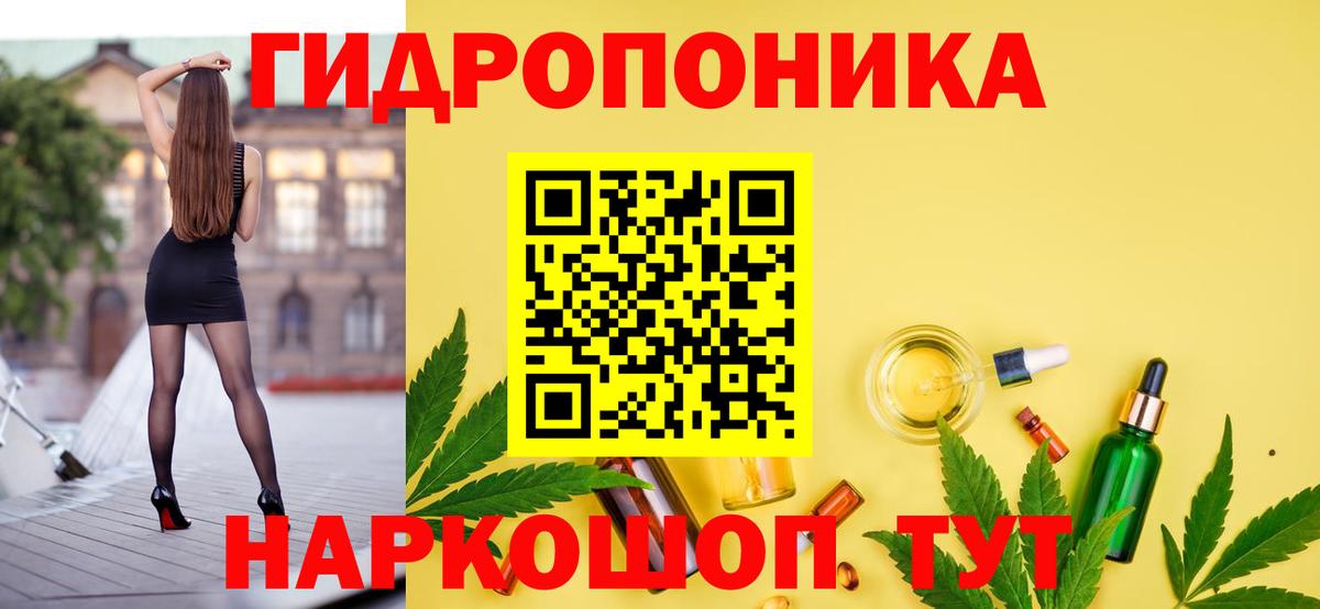 Каннабис планчик  Вход с VPN  Конопля Ganja  Каннабис сатива  Серпухов 